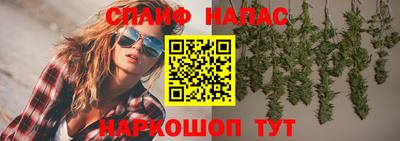 PSILOCYBIN Берёзовский